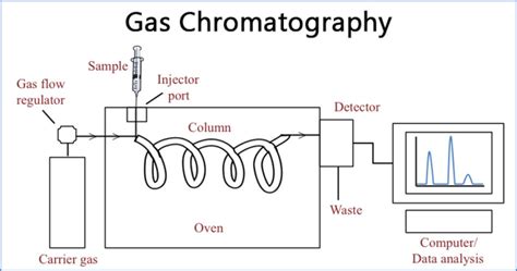 gas chromatography for gas analysis|gas chromatography results and discussion.